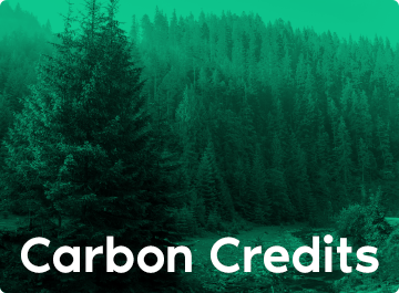 carbon credits image